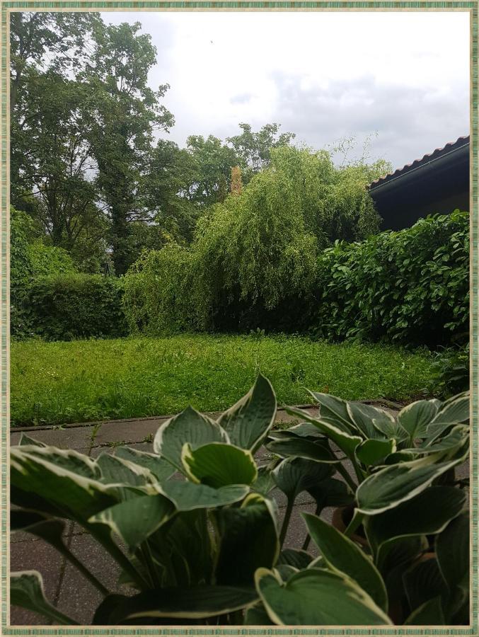 Kolev Apartments Kelsterbach Zewnętrze zdjęcie
