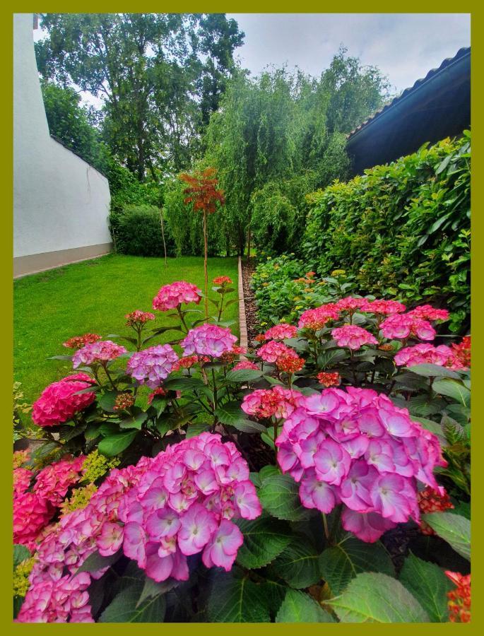 Kolev Apartments Kelsterbach Zewnętrze zdjęcie